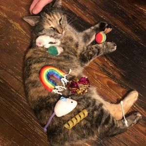 Meet your Posher, Evan